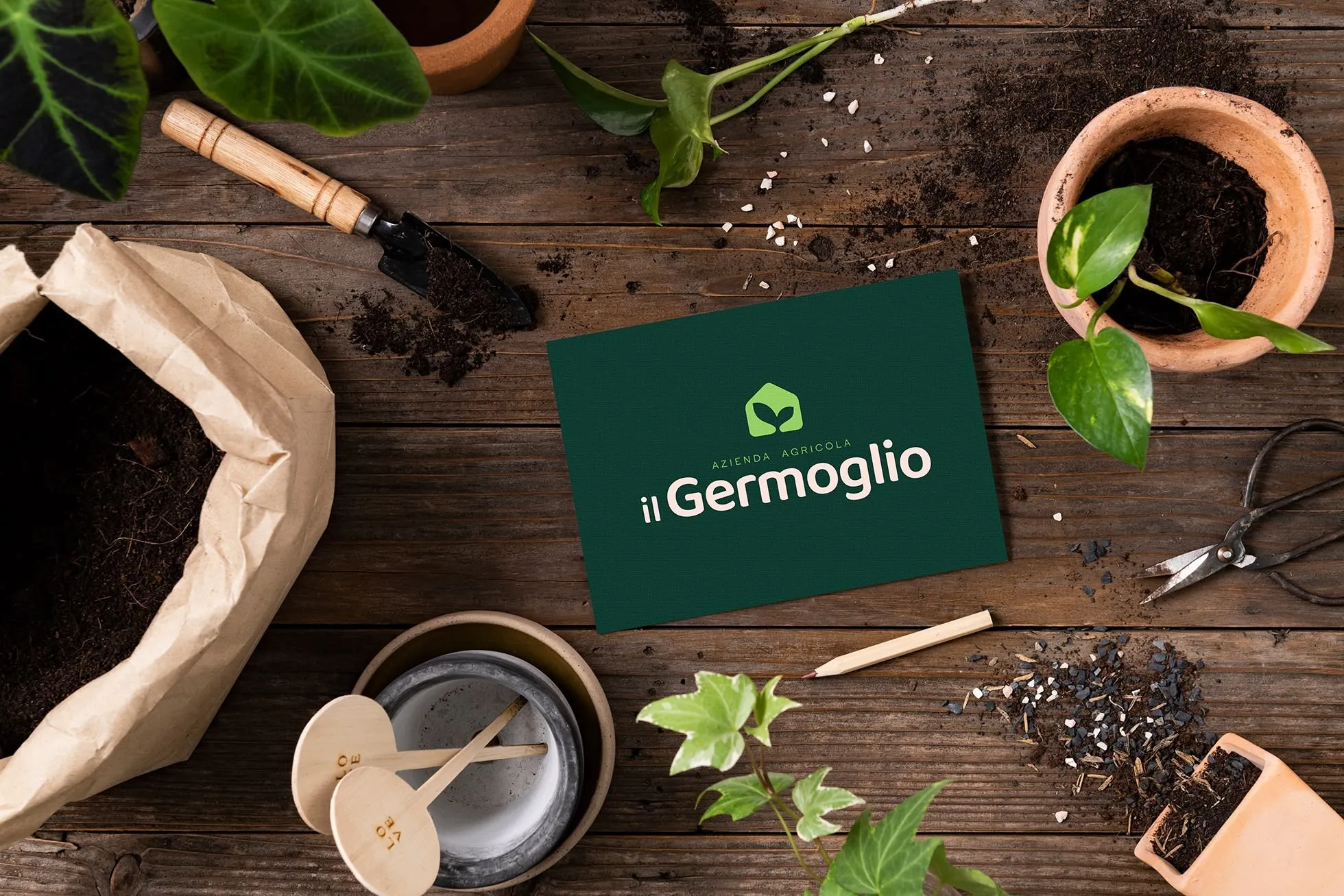 Il Germoglio Biglietto Visita